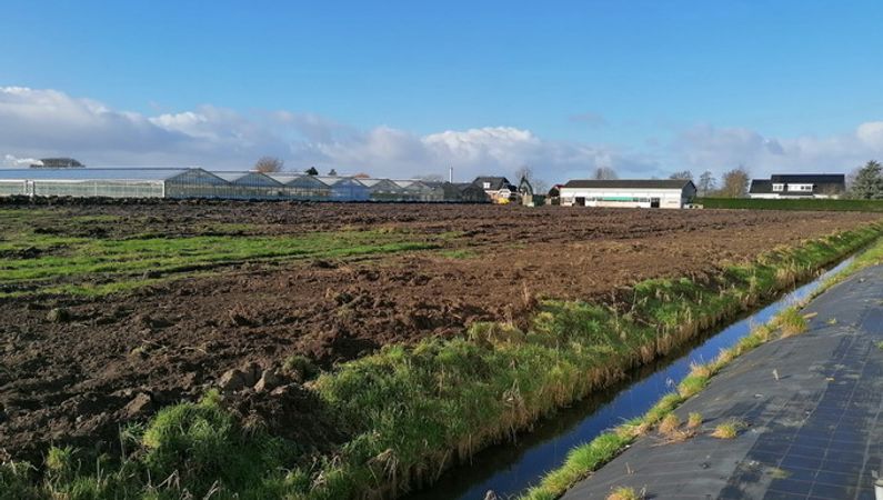 Bouw kas in De Kwakel grotendeels gasloos